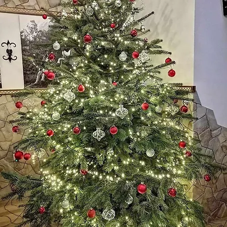 Frühstückspension Czarna Turnia -zakopane