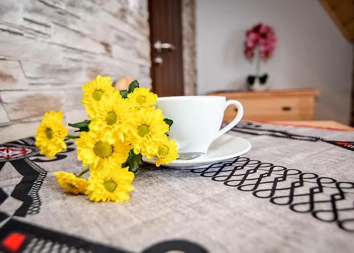 Bed & Breakfast Villa-Czarna Turnia Zakopane