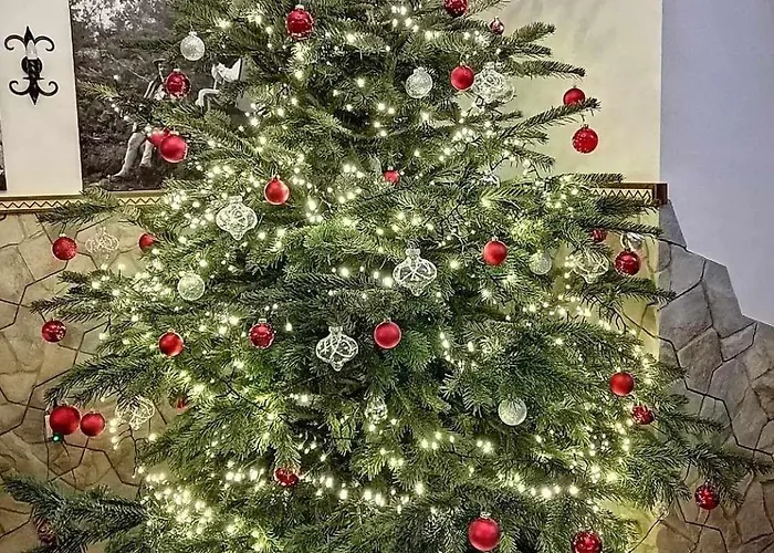 Alojamento de Acomodação e Pequeno-almoço Villa-czarna Turnia